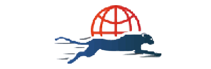Packers and Movers Pune, Movers and Packers Pune